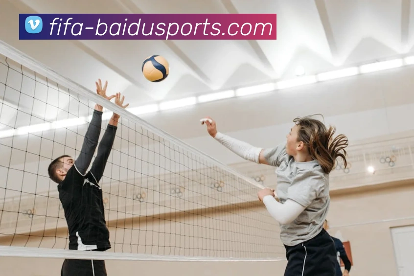 百度体育服务体系